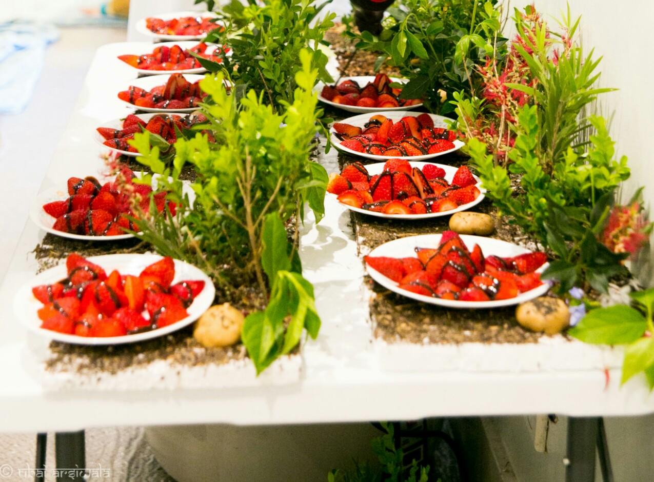 Enchanted Forest berries