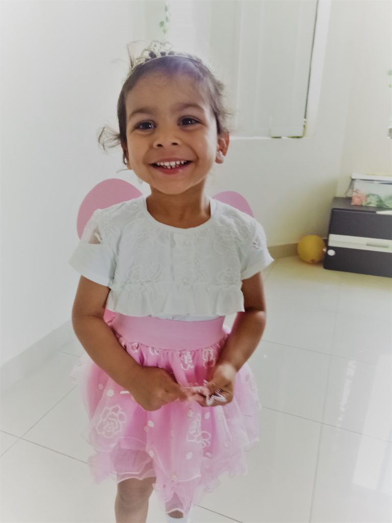 The very Fairy Princess at DIY Book week costumes