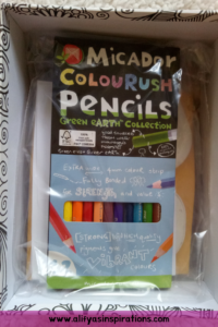 Flight or Airplane Busy Bags