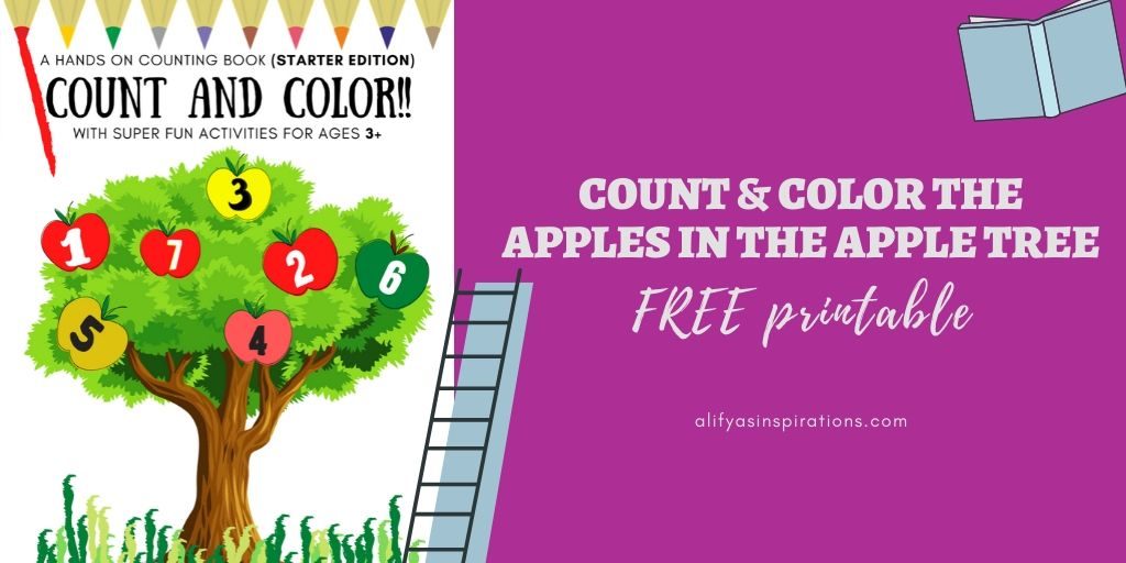 Count and Color preschool activity book